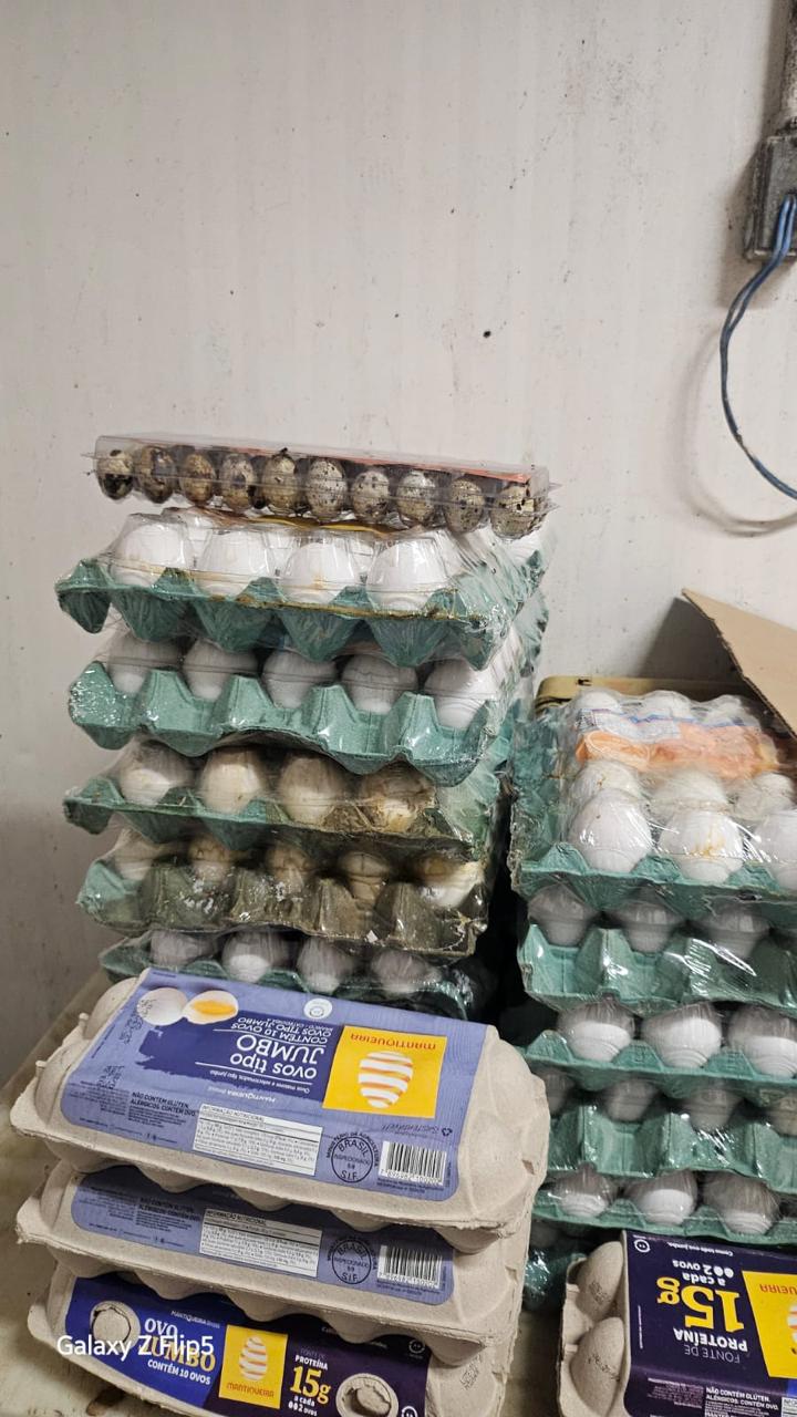 Baratas no feijão! Mais de 290 kg de alimentos descartados em supermercados