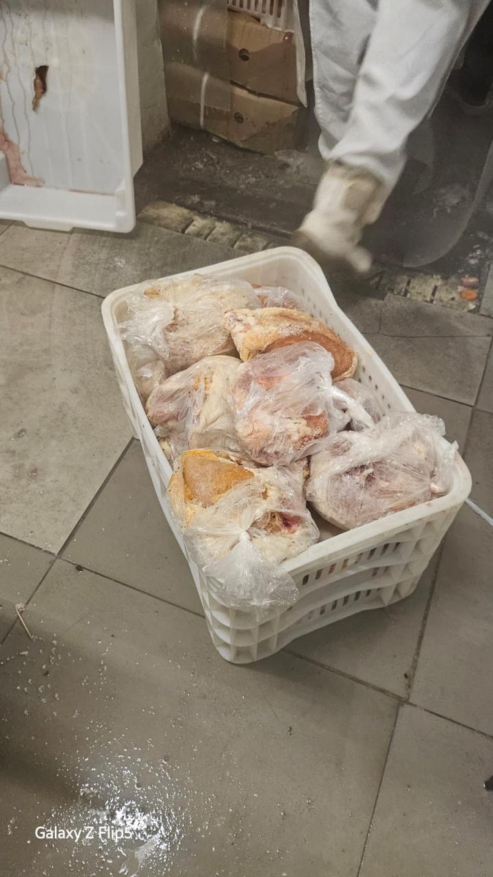 Baratas no feijão! Mais de 290 kg de alimentos descartados em supermercados