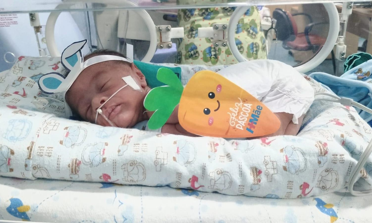 Os bebês foram clicados vestidos de coelho no HMae, em Mesquita, na Baixada Fluminense