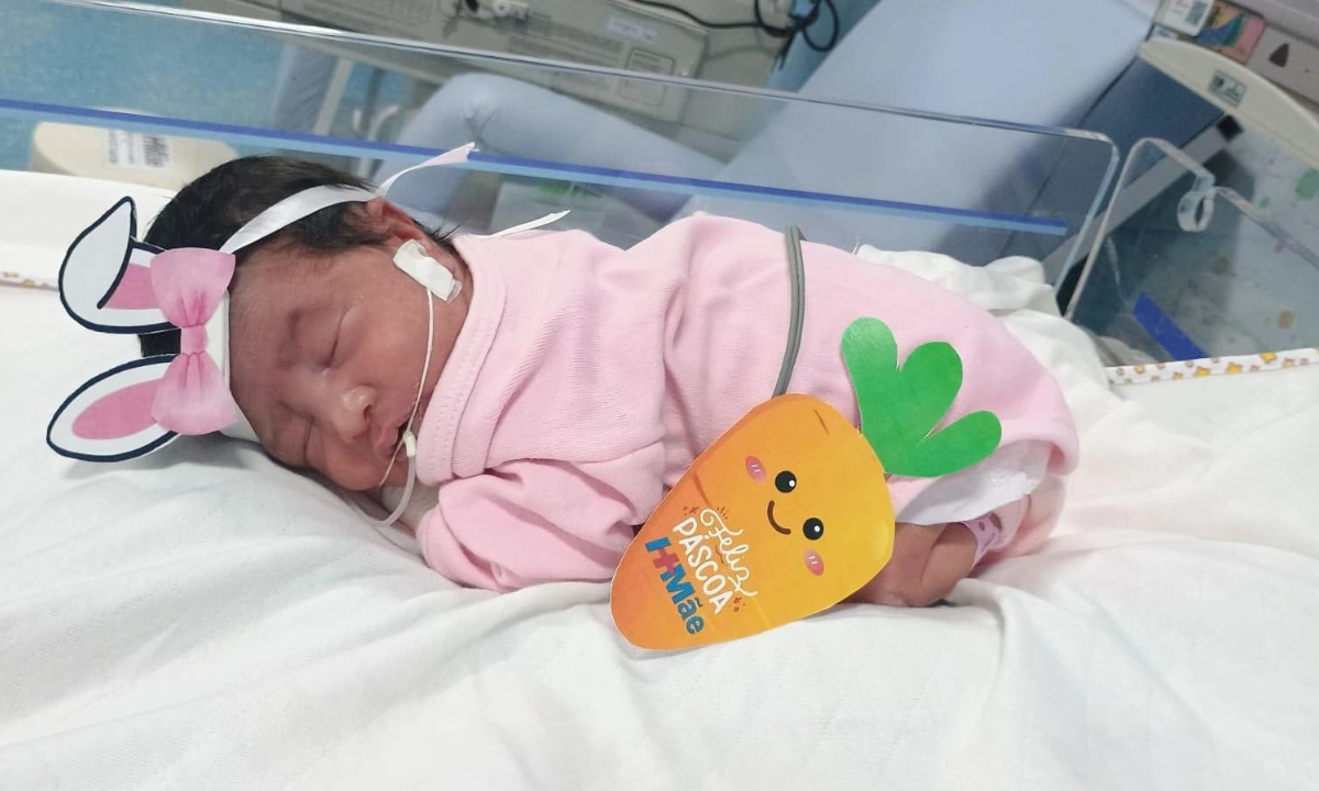 Os bebês foram clicados vestidos de coelho no HMae, em Mesquita, na Baixada Fluminense