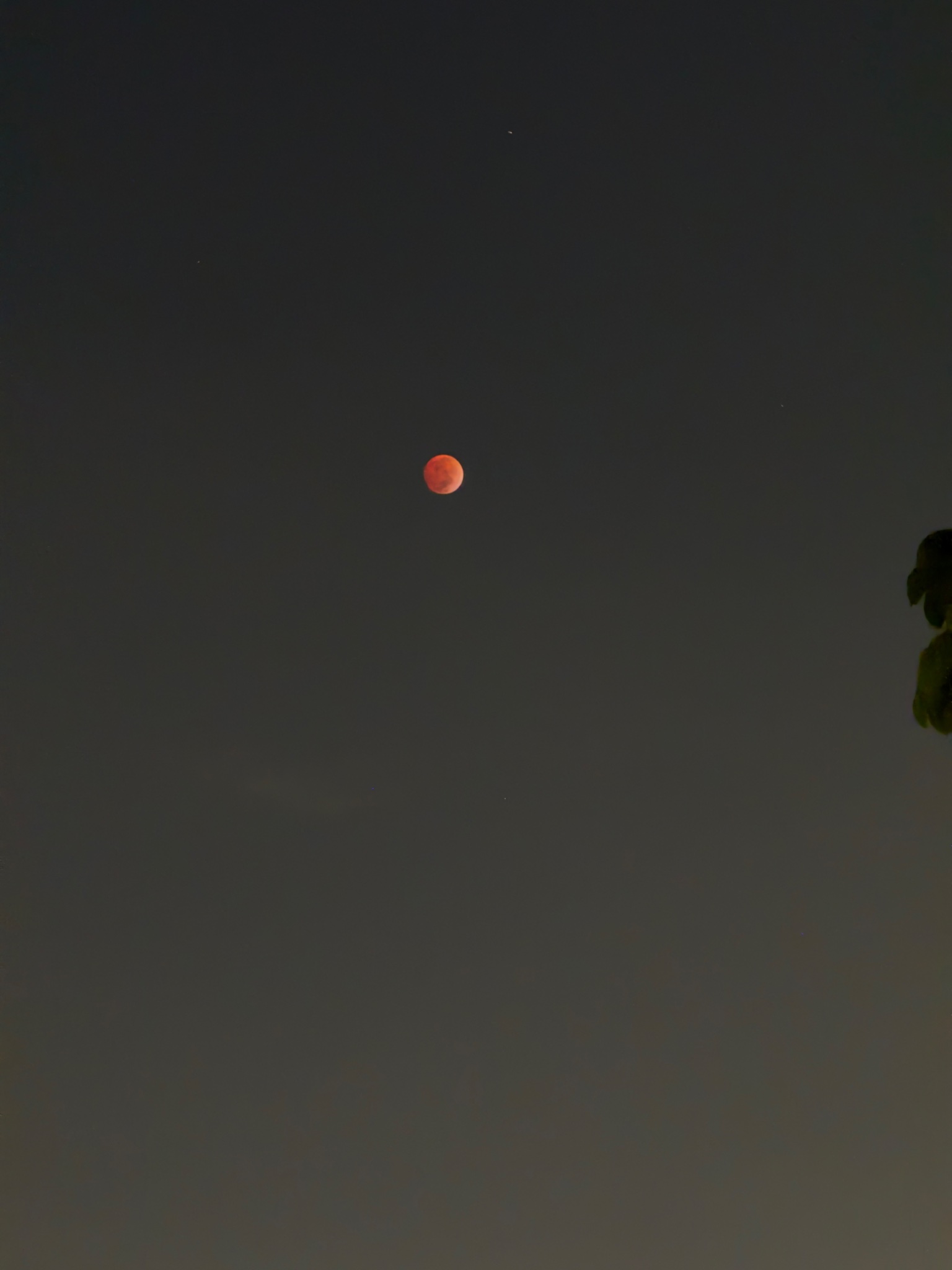 Fenômeno foi visto no Brasil e em diversos outros países