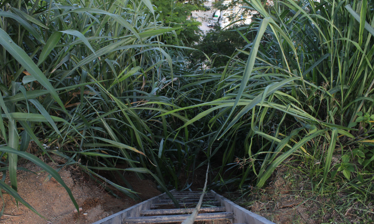 Motociclista de app e passageira caem de ribanceira em Niterói; vídeo