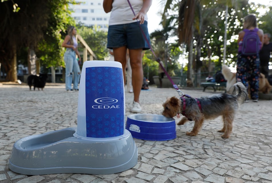 Pets também ganham refresco no calor carioca