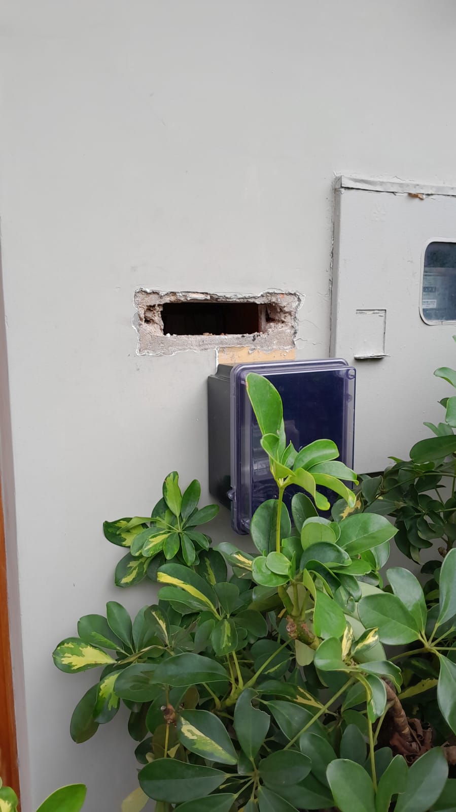 Criminosos roubam caixas de correio em Niterói; vídeo