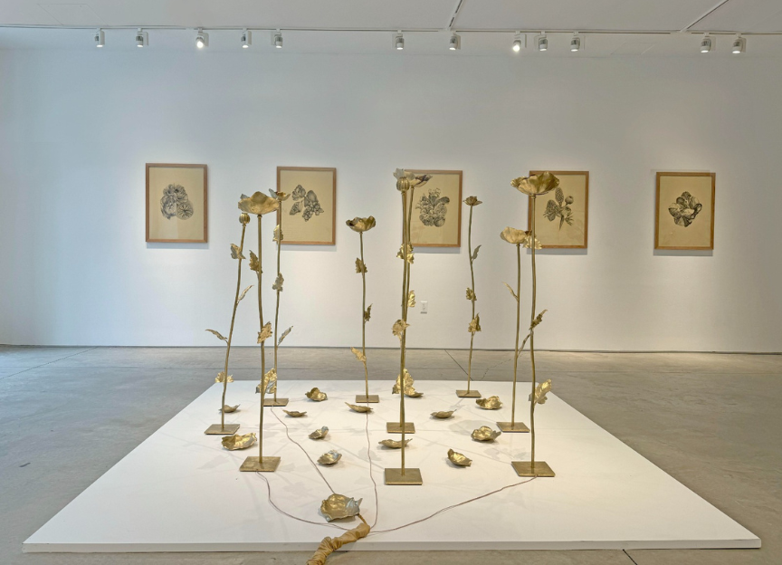 'Floresta argentina' toma conta do MAC e encanta Niterói