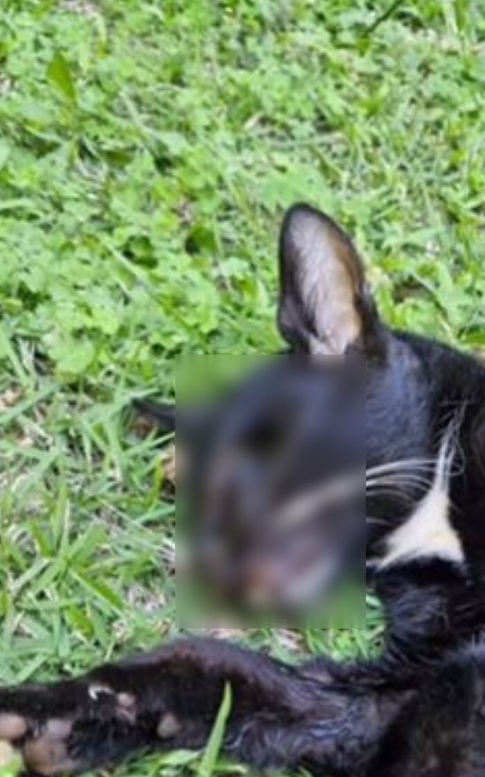 Crime revoltou moradores do bairro Maria Paula, em Niterói