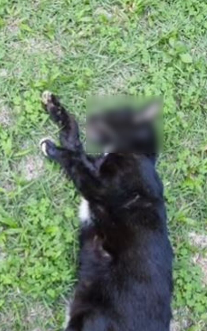 Crime revoltou moradores do bairro Maria Paula, em Niterói