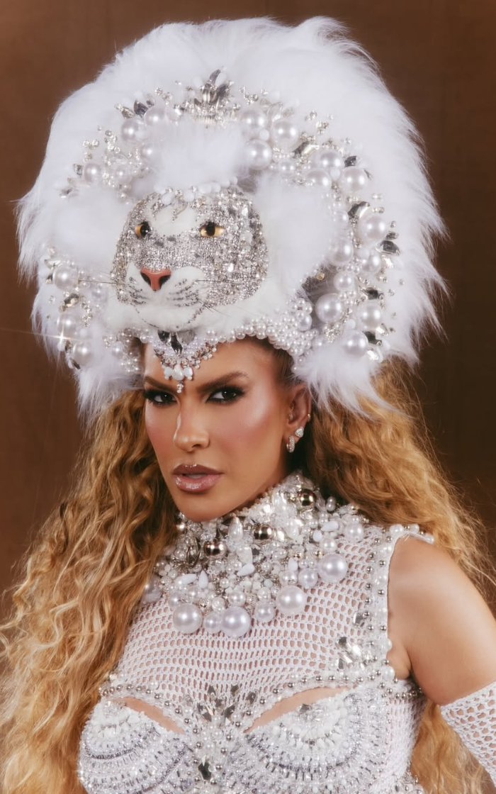 A fantasia foi inspirada na passagem do mestre de bateria Ciça pela escola Estácio de Sá