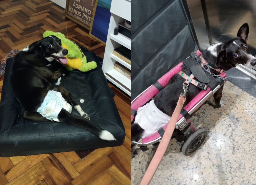 Mesmo com suas condições, segundo a família, Lindinha era superativa