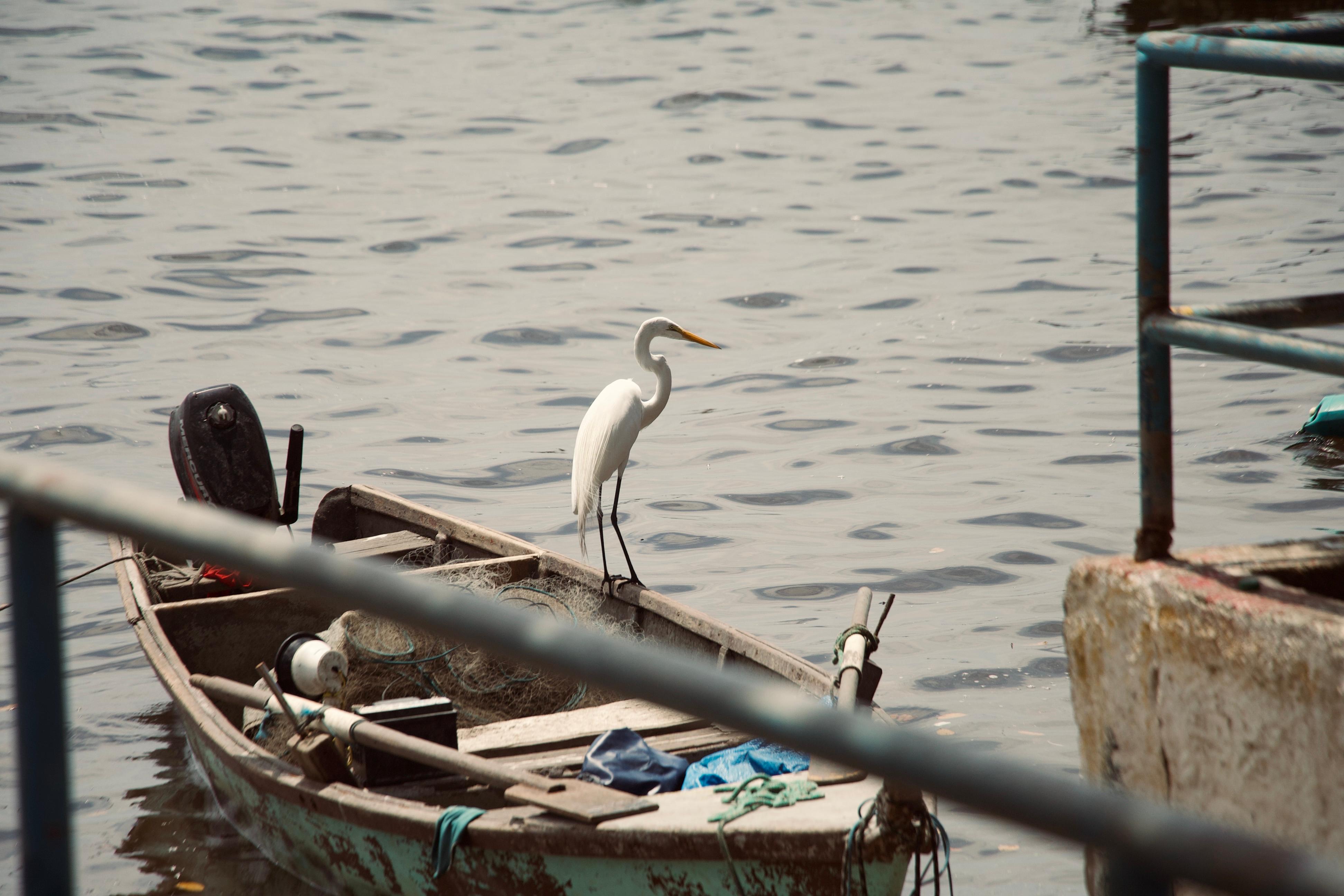 Moradores e comerciantes sonha com melhoria da qualidade da água