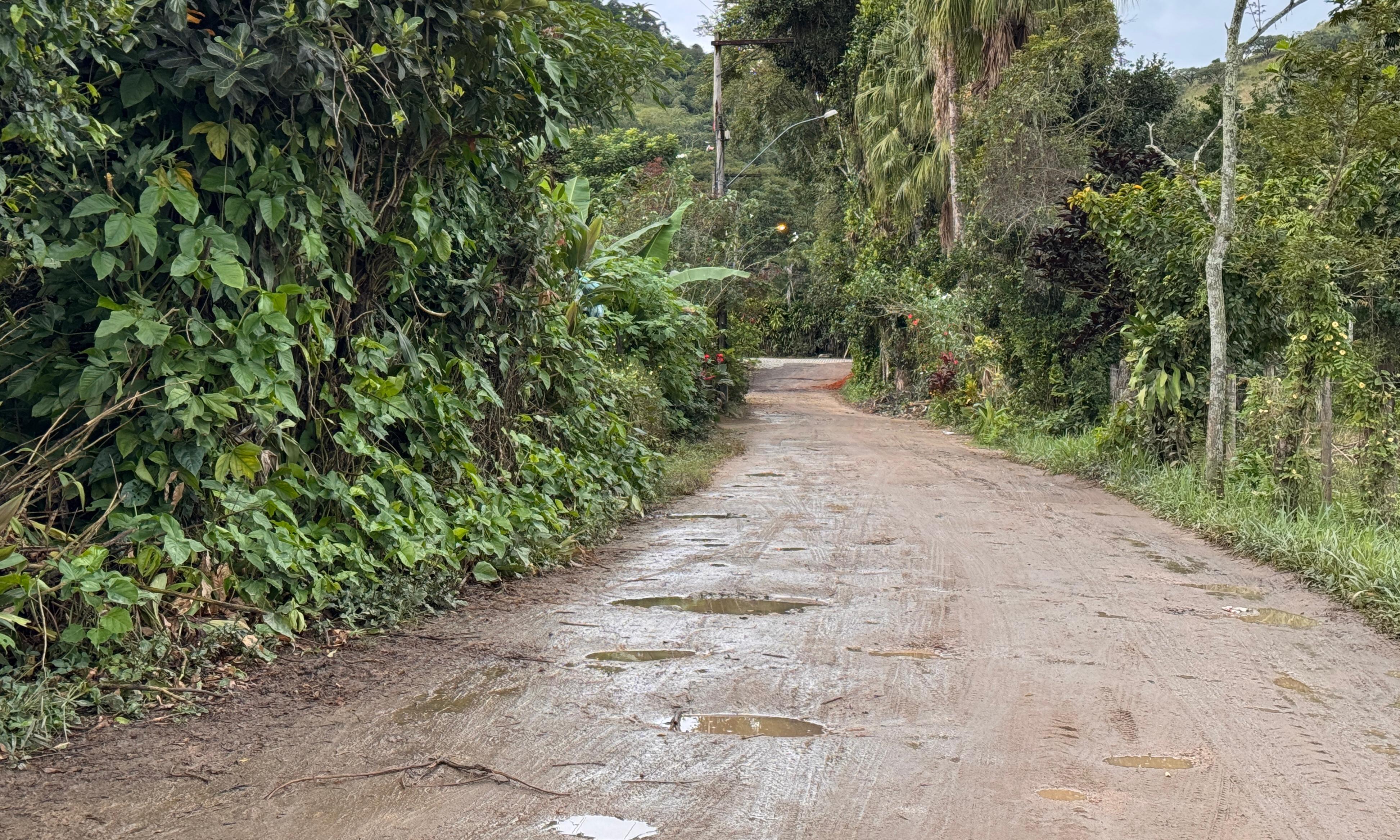 Escassez de veículos e demora são principais reclamações de passageiros