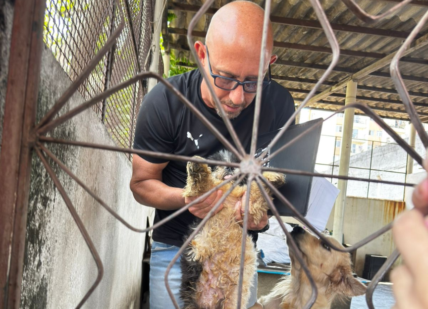 Entre os principais problemas de saúde identificados estavam sarna infestação por pulgas infecções nos olhos e ouvidos