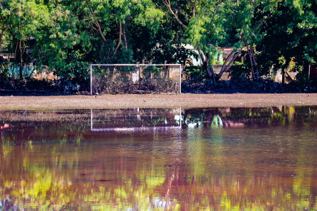 Campo cheio de água