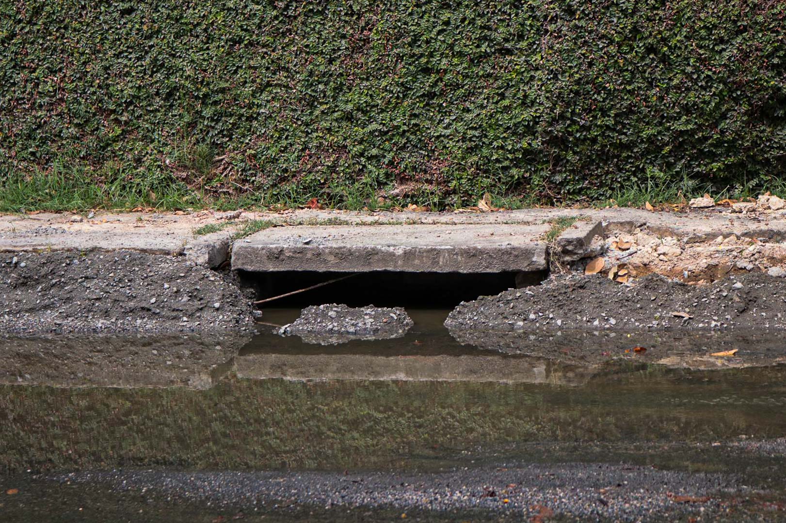 Dentre as reclamações, o mau cheiro e a difícil mobilidade pelo local estão em primeiro lugar.