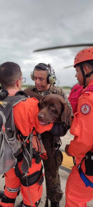 Rio recebe apoio do Ministério do Desenvolvimento Regional por conta do temporal