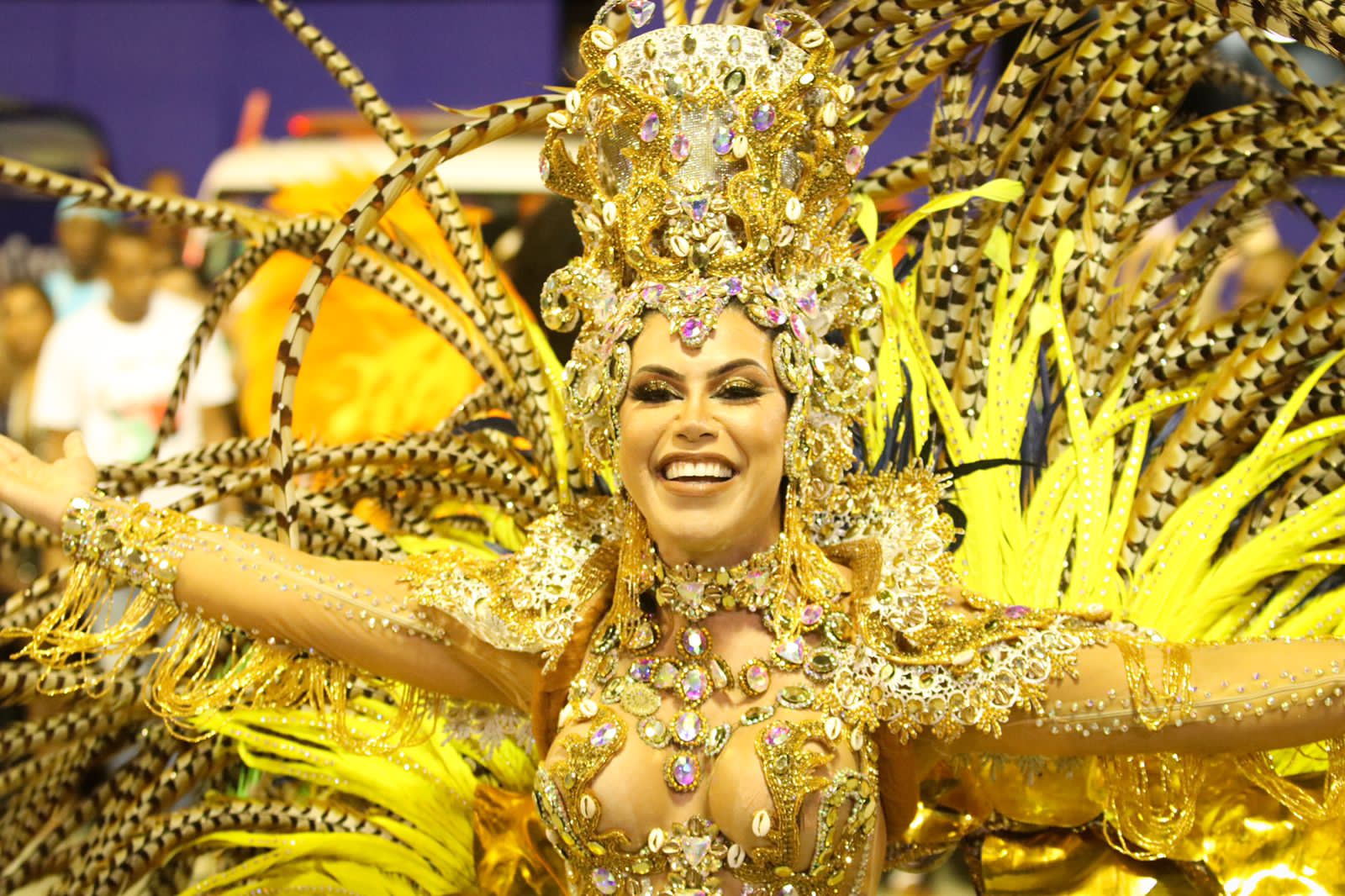 Desfile de cores e luxo da agremiação de São Cristóvão