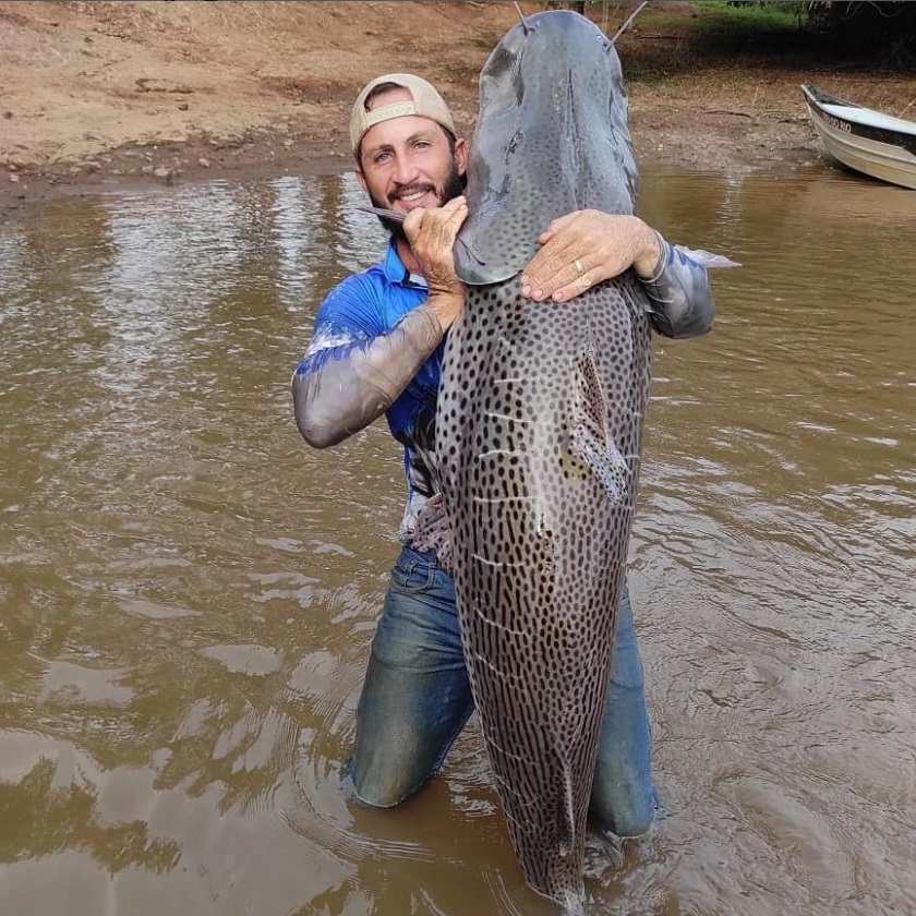 Velho do Rio? Agricultor sai para pescar e se depara com sucuri