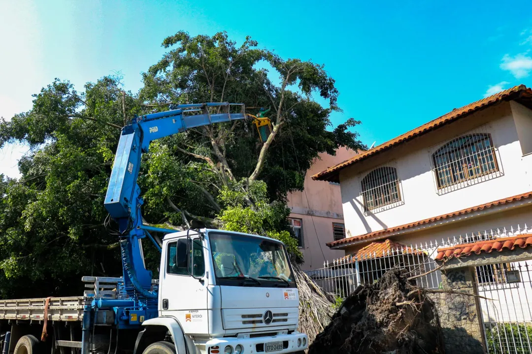 A árvore caiu por volta das 16h da tarde, durante temporal