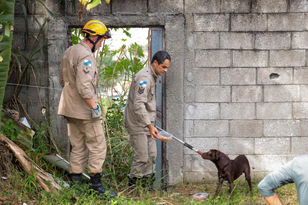 Resgate de cachorro abandonado bombeiros no largo da Batalha