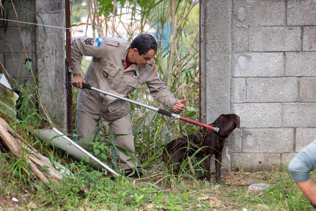 Resgate de cachorro abandonado bombeiros no largo da Batalha