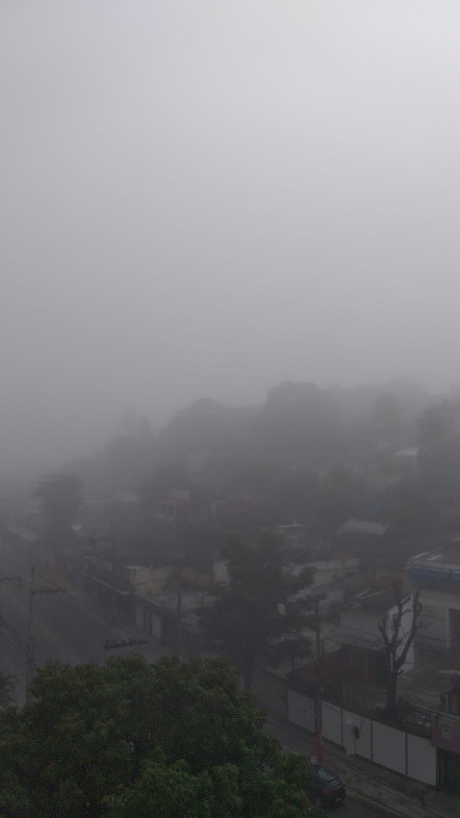 A paisagem modificada pela neblina que atingiu a manhã deste domingo