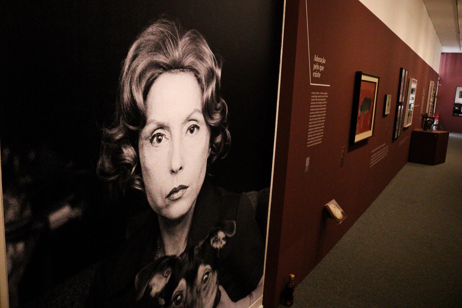 Com curadoria de Eucanaã Ferraz e Veronica Stigger, a mostra reúne aproximadamente 300 itens, incluindo manuscritos, fotografias, cartas, discos e matérias de imprensa, entre outros documentos do acervo pessoal da autora