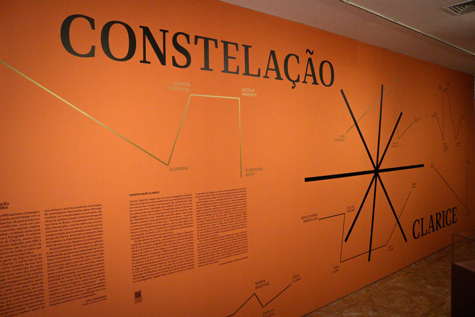 Com curadoria de Eucanaã Ferraz e Veronica Stigger, a mostra reúne aproximadamente 300 itens, incluindo manuscritos, fotografias, cartas, discos e matérias de imprensa, entre outros documentos do acervo pessoal da autora