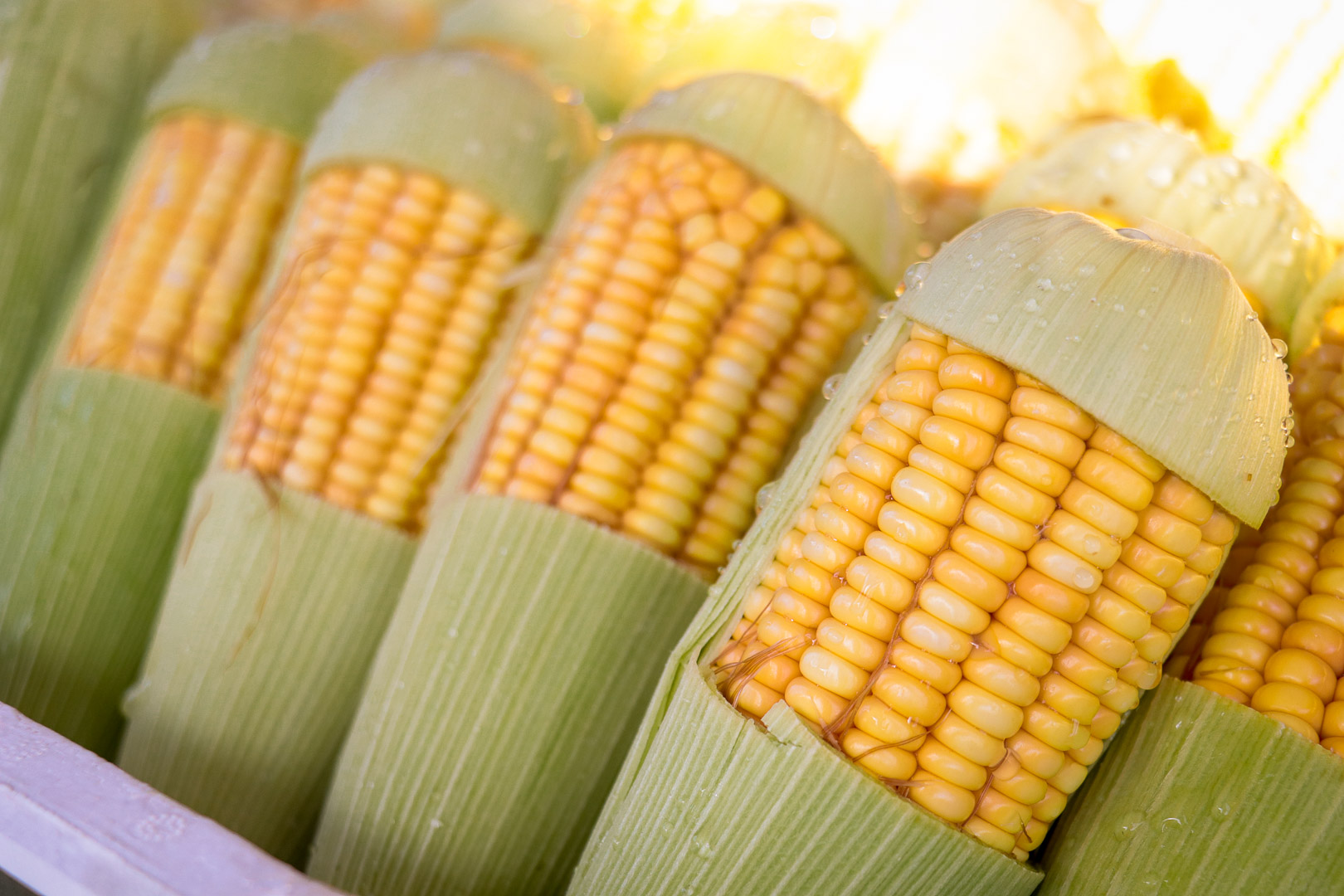 A alta deve- se a choques climáticos no Brasil