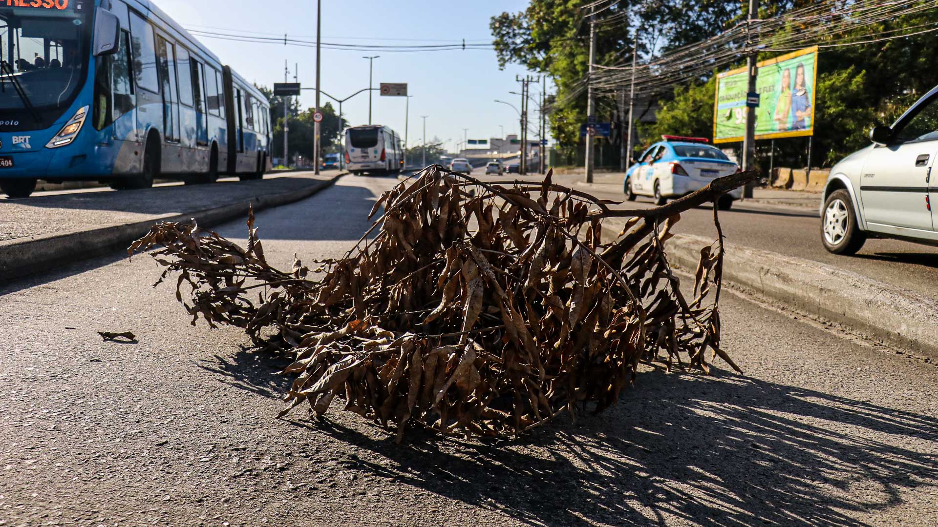 Mais um dia de caos no BRT: 'Portas não fecham', lamenta usuária