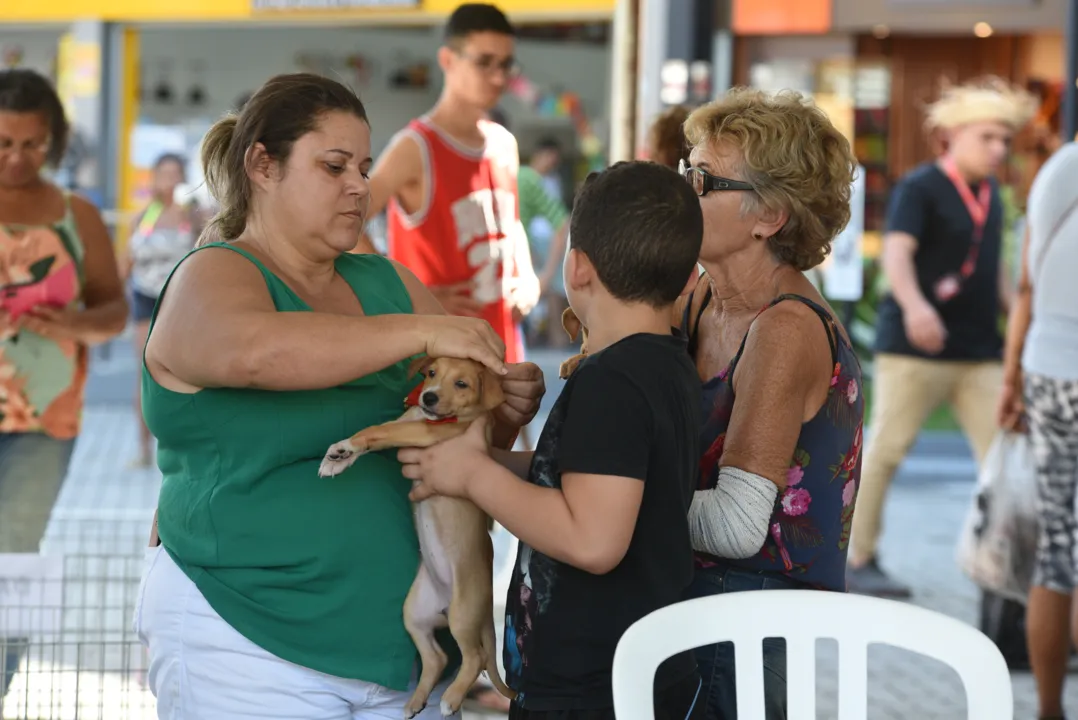 Feira de adoção de cães e gatos acontece neste sábado em Maricá