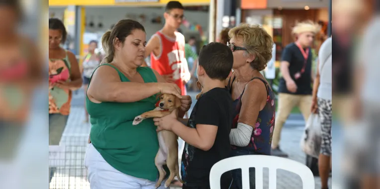 Feira de adoção de cães e gatos acontece neste sábado em Maricá