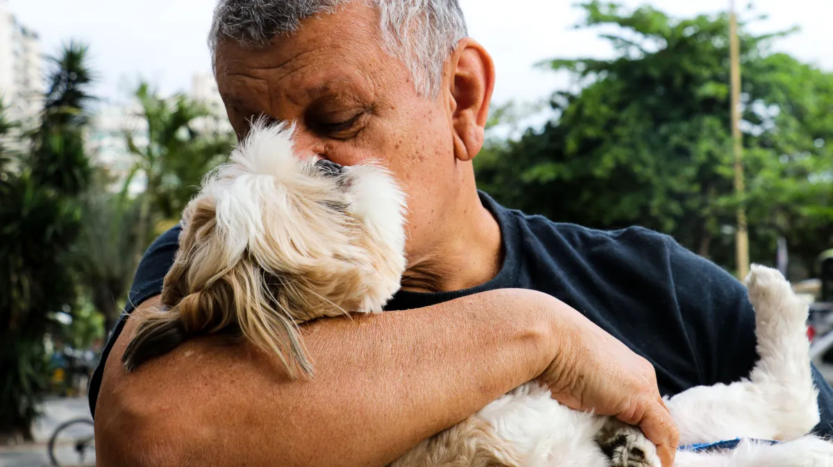 Dia mundial do cachorro