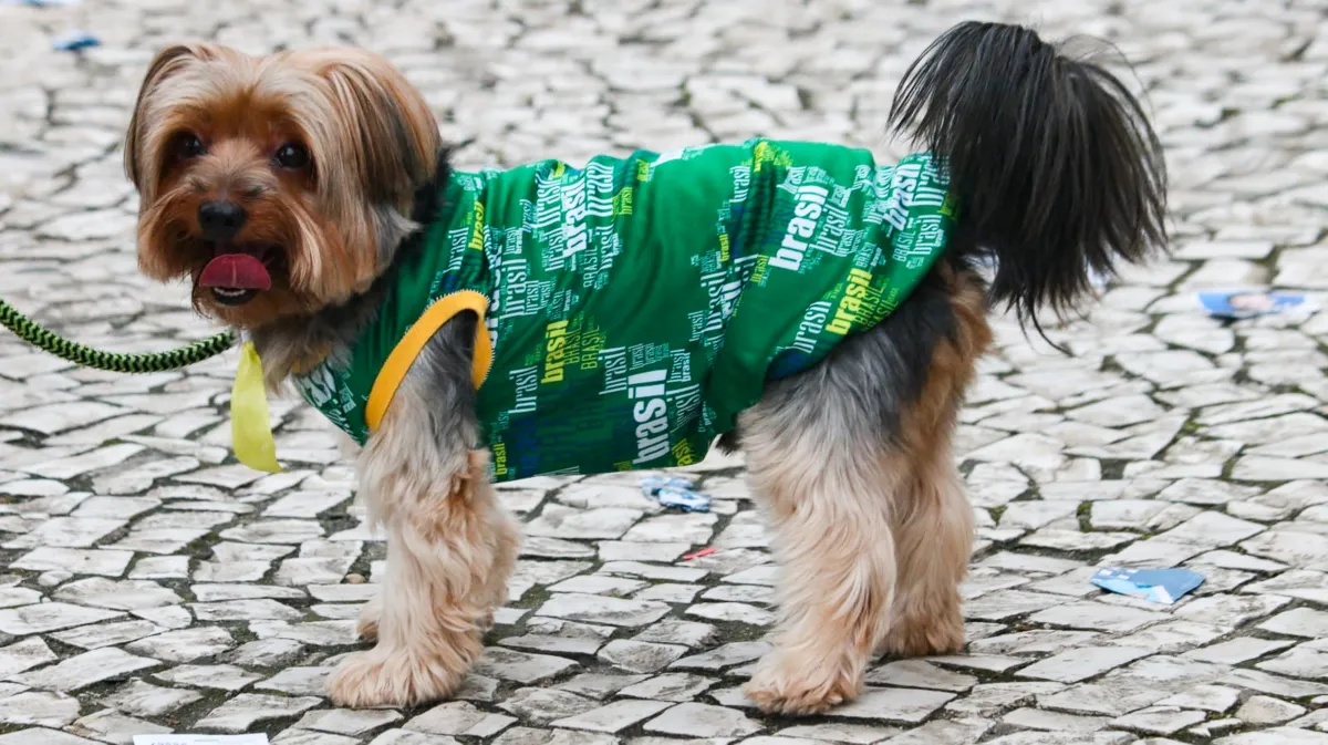 Confira imagens das eleições nesse primeiro turno