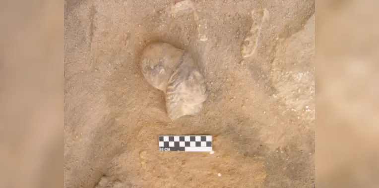Escavações revelaram artefatos, como cabeças de alabastro