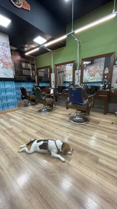 Stella acompanha Marcelly no período em que elat esta trabalhando em uma barbearia em Piracicaba