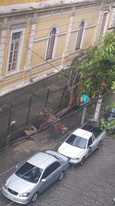 Chuva intensa provocou alagamentos e queda de árvores