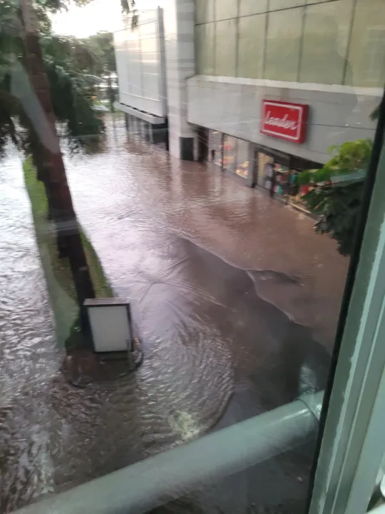 Chuva intensa provocou alagamentos e queda de árvores