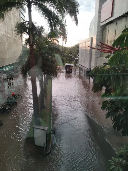 Chuva intensa provocou alagamentos e queda de árvores