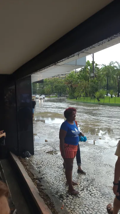 Chuva intensa provocou alagamentos e queda de árvores