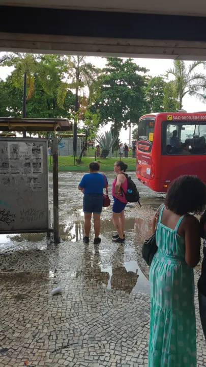 Chuva intensa provocou alagamentos e queda de árvores