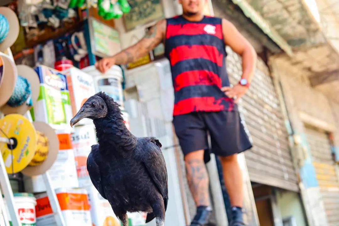 Animal é criado de maneira livre e retribui o cuidado ficando ao lado de Thiago