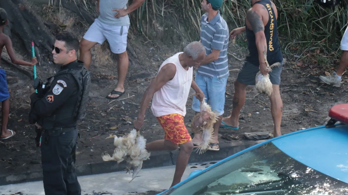 Moradores pegam carga de galinhas de caminhão que tombou na via 