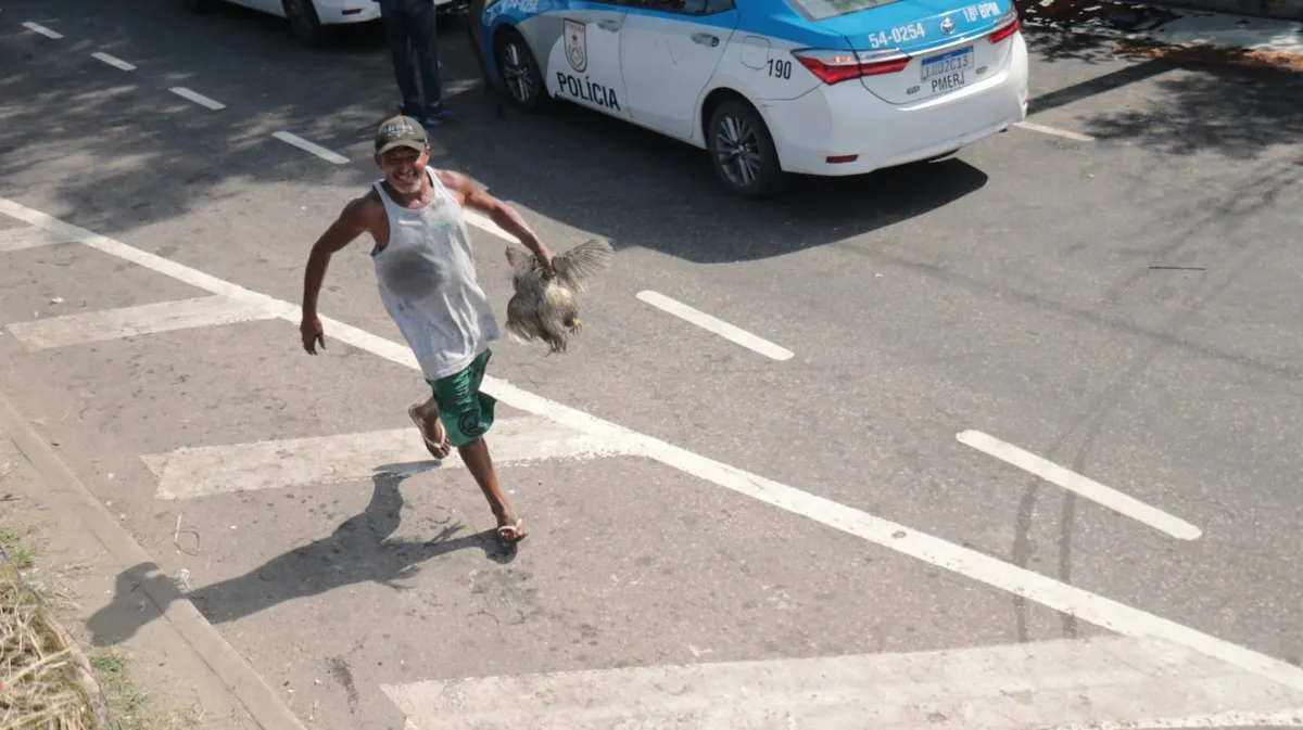 Moradores pegam carga de galinhas de caminhão que tombou na via 