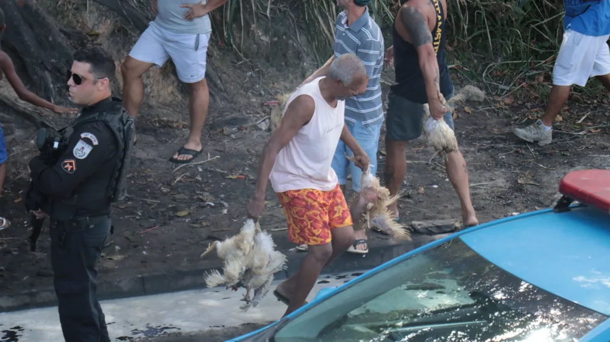 Moradores pegam carga de galinhas de caminhão que tombou na via 