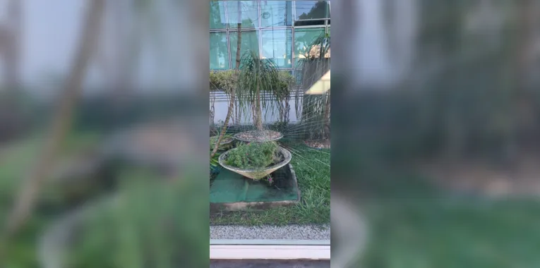 Fachada de vidro de prédio é quebrada por homem em Niterói; vídeo