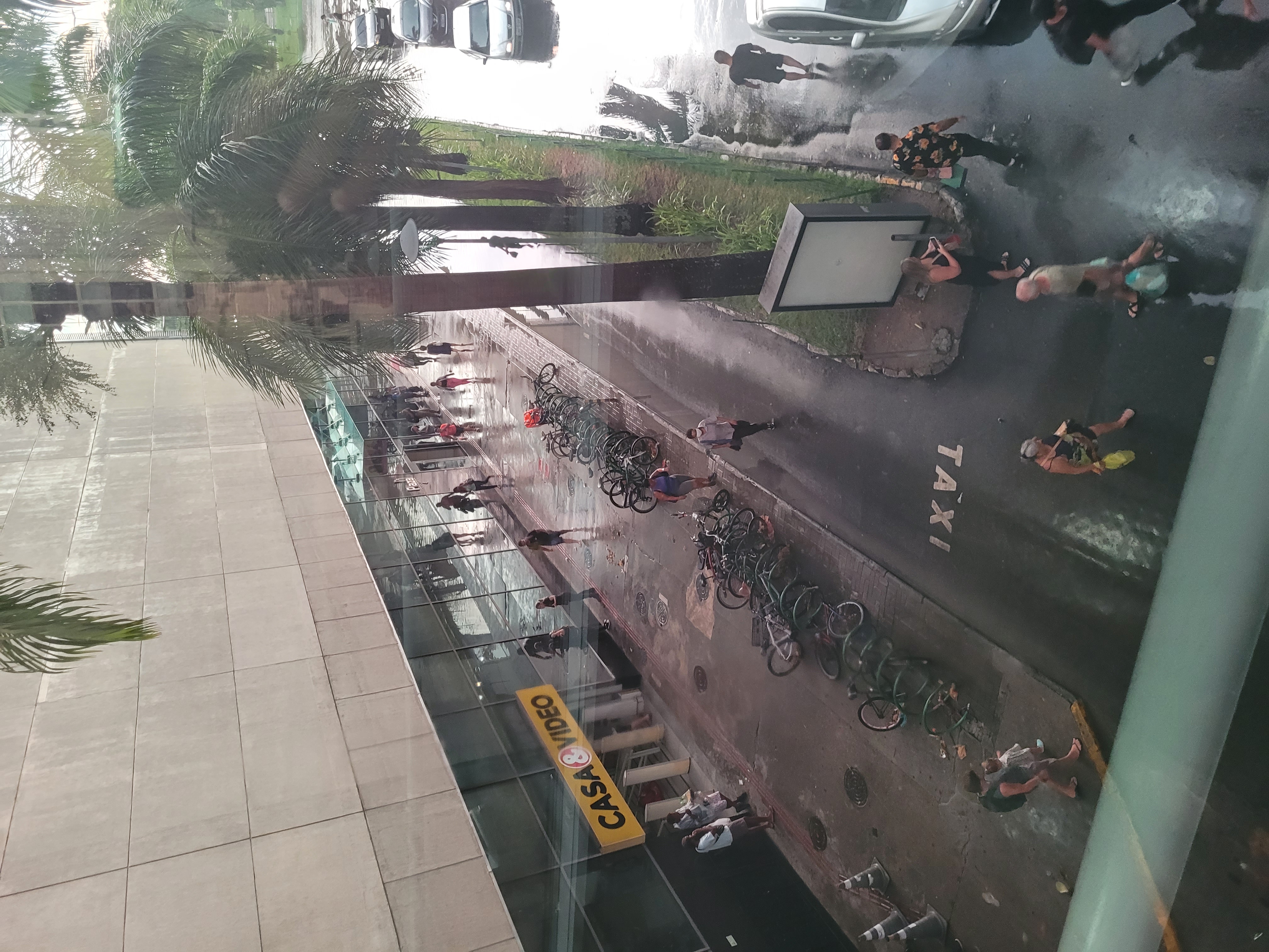 Chuva intensa provocou alagamentos e queda de árvores