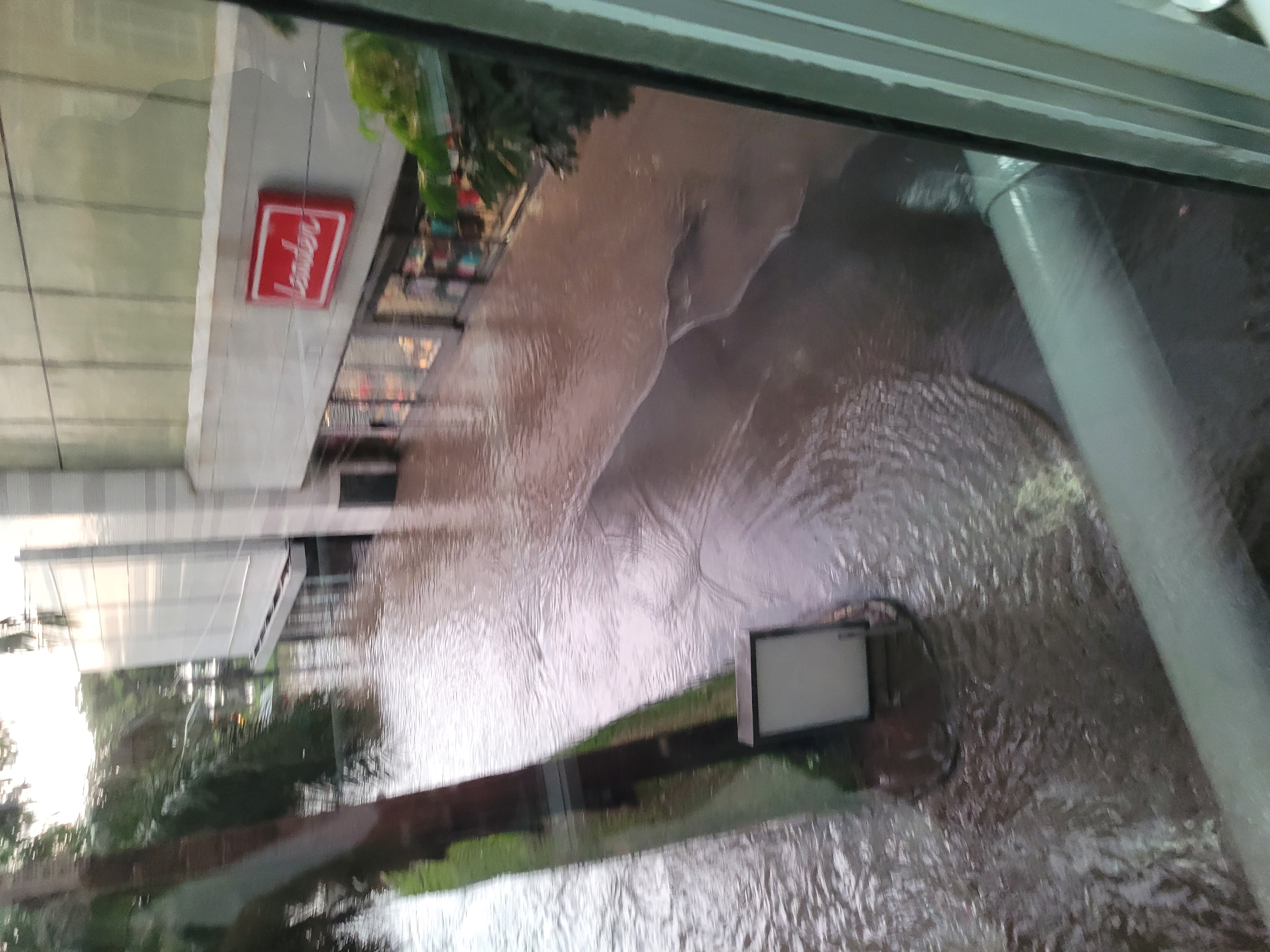 Chuva intensa provocou alagamentos e queda de árvores