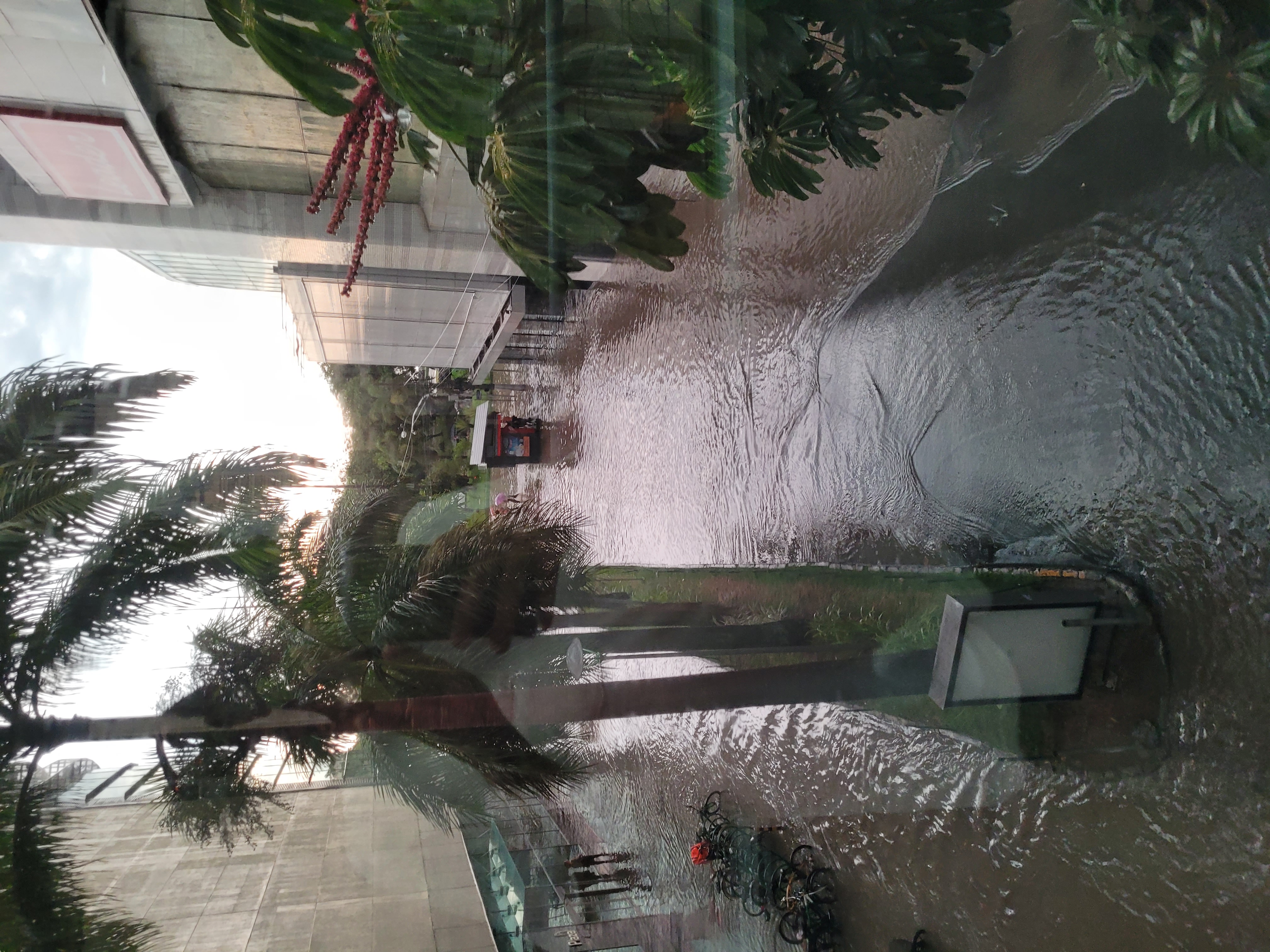 Chuva intensa provocou alagamentos e queda de árvores