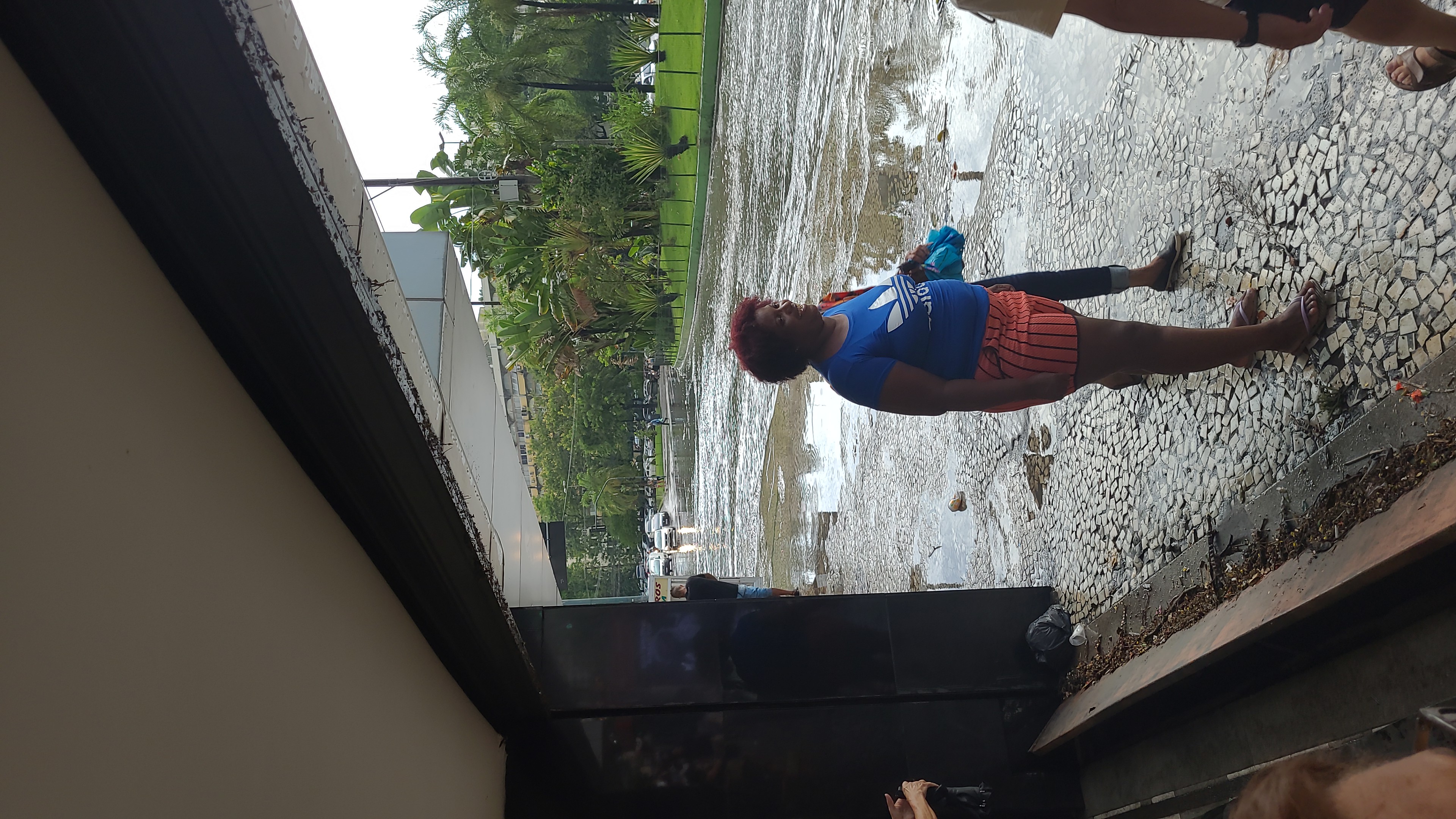 Chuva intensa provocou alagamentos e queda de árvores