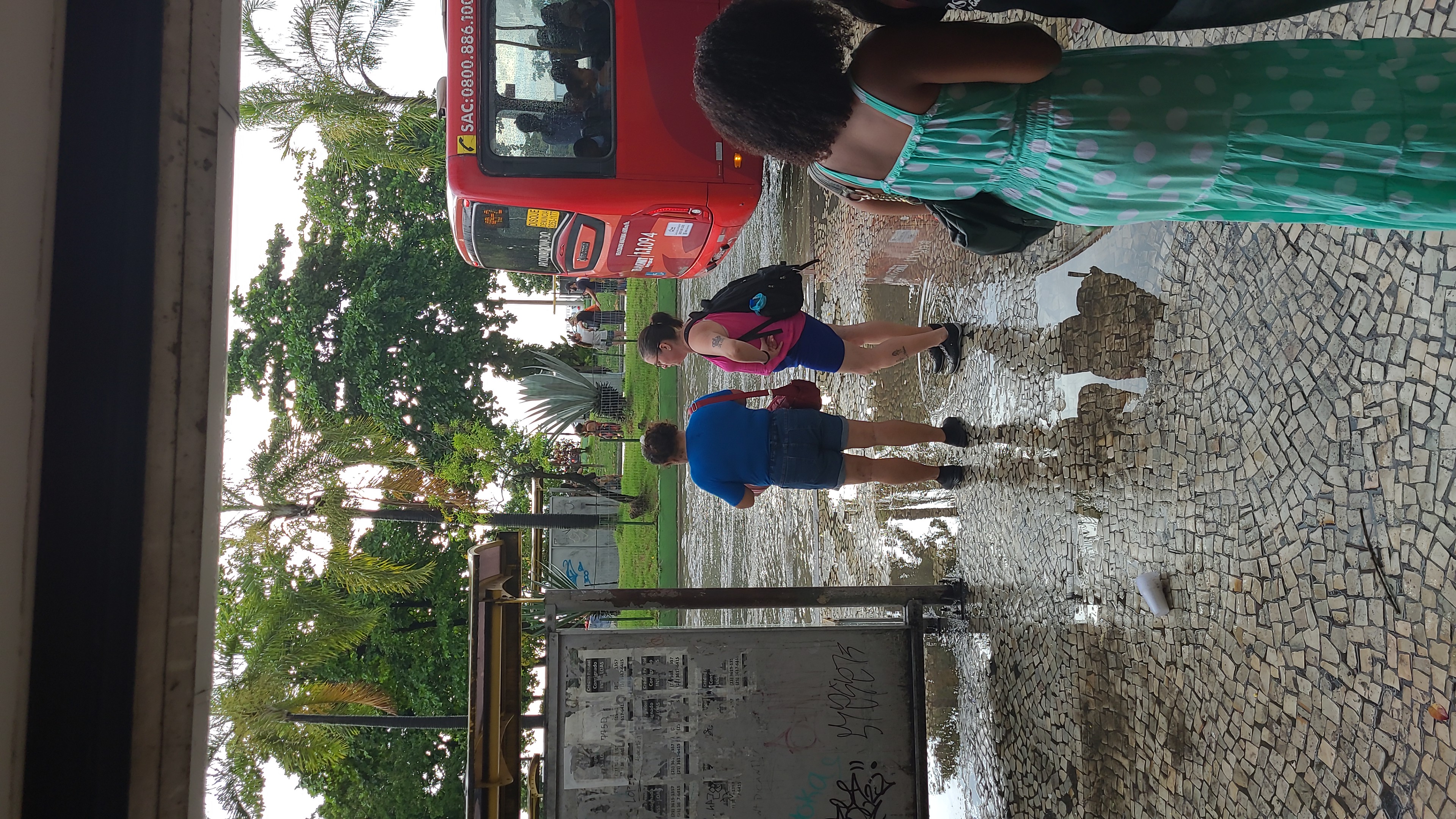 Chuva intensa provocou alagamentos e queda de árvores